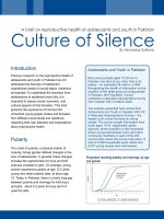 Tài liệu Culture of Silence doc