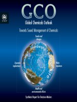 Tài liệu Global Chemicals Outlook Towards Sound Management of Chemicals pptx