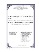 ĐÁNH GIÁ TÌNH HÌNH sản XUẤT KINH DOANH CÔNG TY TNHH MTV đầu tư & PHÁT TRIỂN CHÈ NGHỆ AN GIAI đoạn 2009 2011