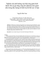 Nghiên cứu ảnh hưởng của hiệu ứng giảm kích thước lên sự gia tăng sóng âm (phonon âm) giam cầm trong dây lượng tử hình trụ hố thế cao vô hạn