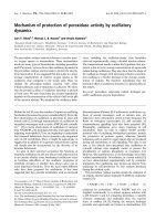 Tài liệu Báo cáo khoa học: Mechanism of protection of peroxidase activity by oscillatory dynamics docx