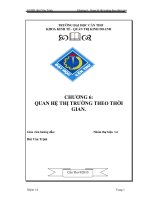 Tài liệu Tiểu luận: Quan hệ thị trường theo thời gian pdf