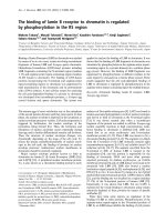 Tài liệu Báo cáo Y học: The binding of lamin B receptor to chromatin is regulated by phosphorylation in the RS region ppt