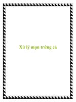 Tài liệu Xử lý mụn trứng cá pot