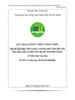 hiện trạng và hướng phát triển diện tích, tăng năng suất cây điều trên địa bàn tỉnh bình phước