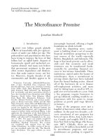 Tài liệu The Microfinance Promise docx