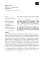 Tài liệu Báo cáo khoa học: ER stress and diseases docx