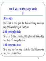 Tài liệu Thuế xuất khẩu, nhập khẩu potx