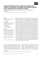 Tài liệu Báo cáo khoa học: Structural insights into the substrate speciﬁcity and activity of ervatamins, the papain-like cysteine proteases from a tropical plant, Ervatamia coronaria ppt