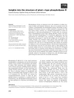 Tài liệu Báo cáo khoa học: Insights into the structure of plant a-type phospholipase D Susanne Stumpe, Stephan Konig and Renate Ulbrich-Hofmann ¨ ppt