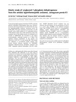 Tài liệu Báo cáo Y học: Kinetic study of sn-glycerol-1-phosphate dehydrogenase from the aerobic hyperthermophilic archaeon, Aeropyrum pernix K1 potx