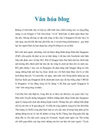 Tài liệu Văn hóa blog ppt