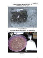 Phu luc 4  hinh minh hoa kiem tra cam quan