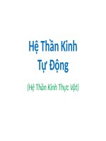 Tài liệu Hệ Thần Kinh Tự Động potx