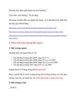 Mô thức trắc diện cạnh tranh của siêu thị big c