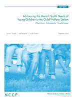 Tài liệu Addressing the Mental Health Needs of Young Children in the Child Welfare System pdf