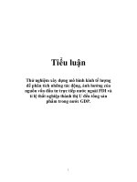 Tài liệu Tiểu luận: Thử nghiệm xây dựng mô hình kinh tế lượng để phân tích những tác động, ảnh hưởng của nguồn vốn đầu tư trực tiếp nước ngoài FDI và tỉ lệ thất nghiệp thành thị U đến tổng sản phẩm trong nước GDP. potx