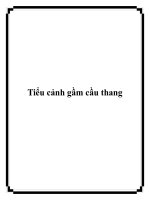 Tài liệu Tiểu cảnh gầm cầu thang potx