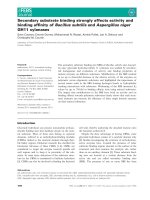 Tài liệu Báo cáo khoa học: Secondary substrate binding strongly affects activity and binding afﬁnity of Bacillus subtilis and Aspergillus niger GH11 xylanases docx