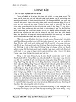 giải pháp phát triển thị trường rượu vang ở công ty cổ phần thăng long