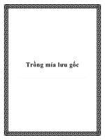 Tài liệu Trồng mía lưu gốc pdf