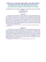 Tài liệu NGHIÊN CỨU, LẮP ĐẶT HỆ THỐNG NHIÊN LIỆU CRDI (COMMON RAIL DIESEL INJECTION) TRÊN ĐỘNG CƠ VIKYNO RV 125-2 pot