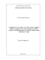 NGHIÊN CỨU CẤU TRÚC CỦA ỐNG NANO CARBON DƯỚI TÁC ĐỘNG CỦA BỨC XẠ NĂNG LƯỢNG CAO ĐỊNH HƯỚNG ỨNG DỤNG TRONG MÔI TRƯỜNG VŨ TRỤ