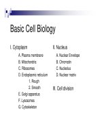 Tài liệu Basic Cell Biology pptx