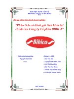 phân tích và đánh giá tình hình tài chính của công ty cổ phần bibica