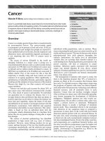 Tài liệu Cancer Malcolm R Alison, Imperial College School of Medicine, London, UK pdf