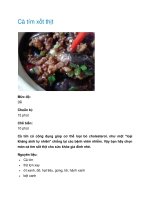 Tài liệu Cà tím xốt thịt pot