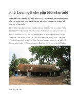 Tài liệu Phù Lưu, ngôi chợ gần 600 năm tuổi pdf