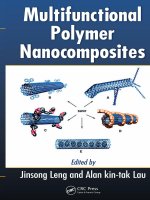 Tài liệu Multifunctional Polymer Nanocomposites docx