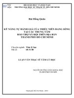 kỹ năng tự đánh giá của thiếu niên đang sống tại các trung tâm bảo trợ xã hội trên địa bàn thành phố hồ chí minh