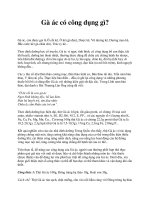 Tài liệu Gà ác có công dụng gì? doc