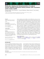 Tài liệu Báo cáo khoa học: Molecular cloning and characterization of soybean protein disulﬁde isomerase family proteins with nonclassic active center motifs pdf