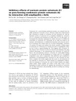 Tài liệu Báo cáo khoa học: Inhibitory effects of nontoxic protein volvatoxin A1 on pore-forming cardiotoxic protein volvatoxin A2 by interaction with amphipathic a-helix doc