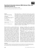 Tài liệu Báo cáo khoa học: Functional interaction between RNA helicase II⁄Gua and ribosomal protein L4 pptx