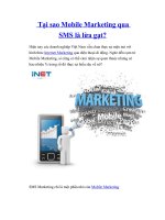 Tài liệu Tại sao Mobile Marketing qua SMS là lừa gạt? pptx