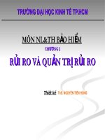 Tài liệu RỦI RO VÀ QUẢN TRỊ RỦI RO docx