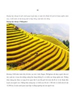 Tài liệu 30 Ruộng bậc thang tuyệt đẹp pot