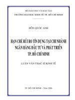 hạn chế rủi ro tín dụng tại chi nhánh ngân hàng đầu tư và phát triển tp. hồ chí minh