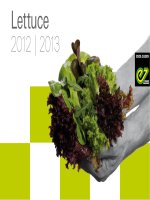 Tài liệu Lettuce 2012 | 2013 docx