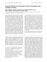 Tài liệu Báo cáo Y học: Structural diversity and transcription of class III peroxidases from Arabidopsis thaliana docx