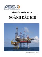 báo cáo phân tích ngành dầu khí