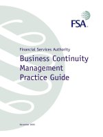 Tài liệu Financial Services Authority Business Continuity Management Practice Guide pptx