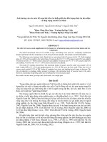 Tài liệu Ảnh hưởng của các mức bổ sung bột sắn vào khẩu phần ăn đến lượng thức ăn thu nhận và tăng trọng của bò Lai Sind pdf