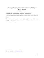 Tài liệu Mesoscopic Model for Mechanical Characterization of Biological Protein Materials docx