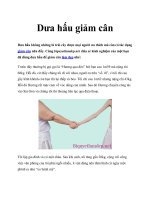 Tài liệu Dưa hấu giảm cân pptx