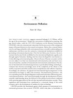 Tài liệu Environment: Pollution docx